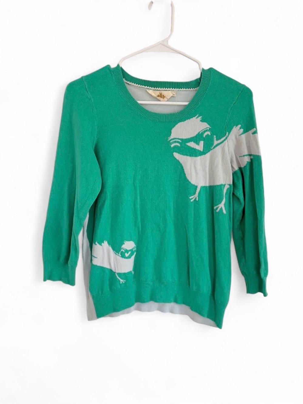 Anthropologie HWR Women’s Sweater Monogram Empty Nest Small Green Novelty Print